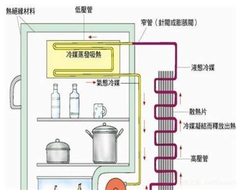 冰箱運作原理|冰箱（保持恒定低温的一种制冷设备）